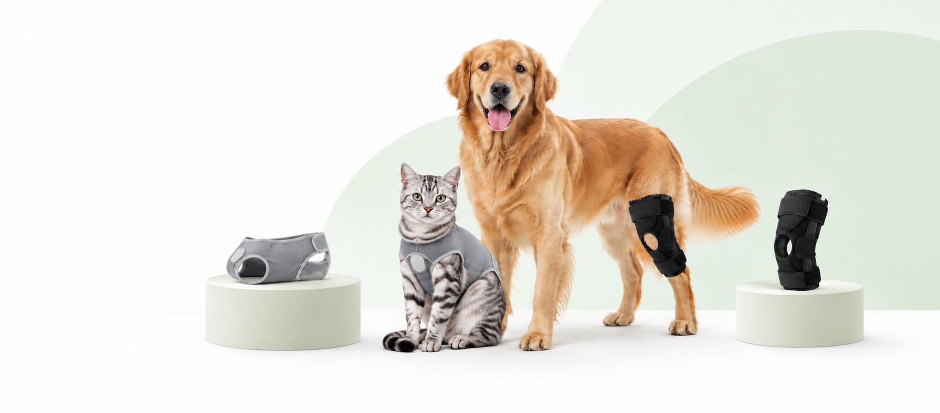 Cat and dog with PetsGuard recovery and orthopaedic support products