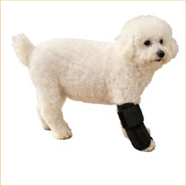 Wrist Brace with Hinge for dogs and cats