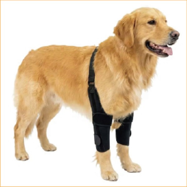 Double Hinged Elbow Brace Harness for dogs and cats