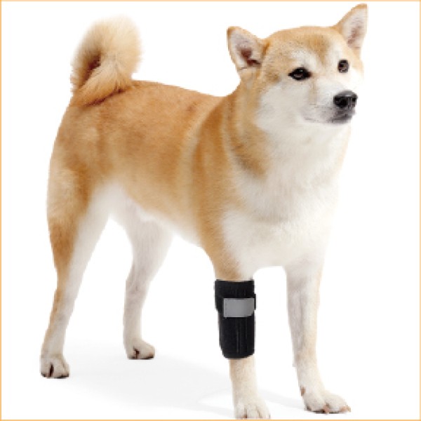 Canine Forelimb Knee Protector for dogs and cats