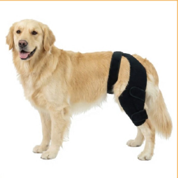 Single Hinged Leg Brace for dogs and cats