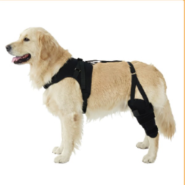 Double Hinged Leg Brace with Harness for dogs and cats