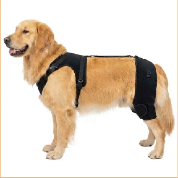 Hip Brace with Harness and Handle for dogs and cats