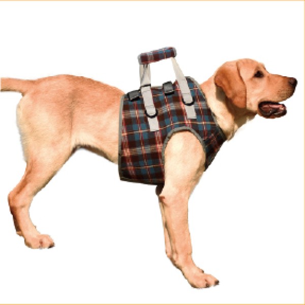 Front Leg Rehabilitation Sling for dogs and cats