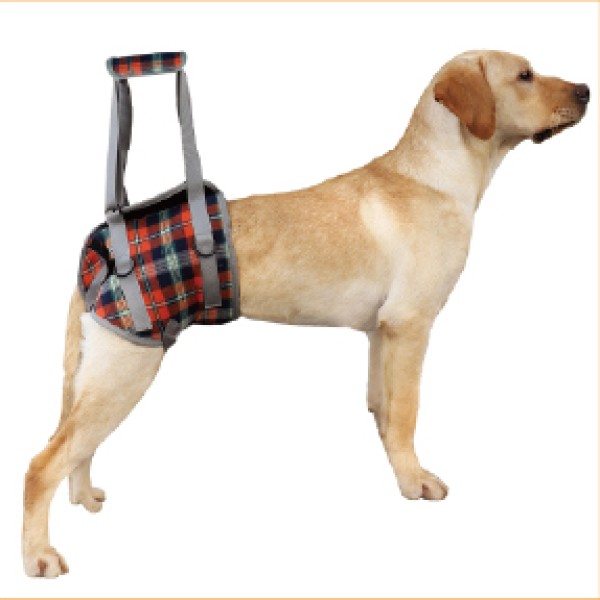 Hind Leg Rehabilitation Sling for dogs and cats
