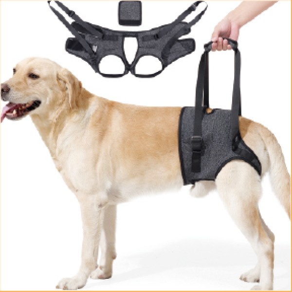 2nd Gen Dog Hind Leg Support Strap for dogs and cats