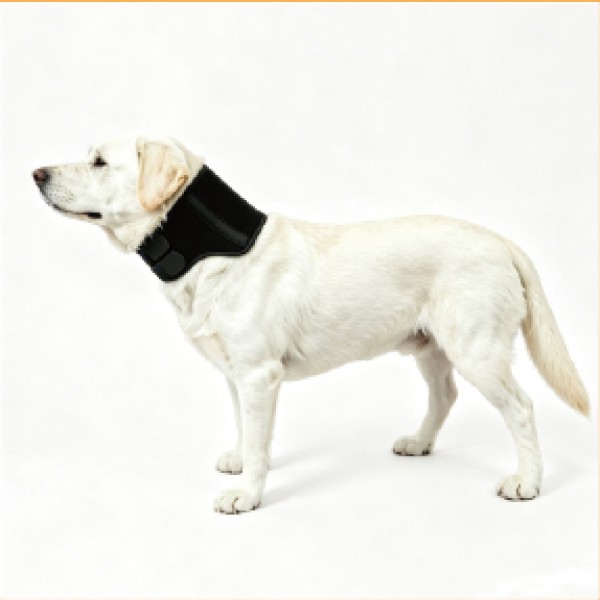 Neck Brace with Hinge for dogs and cats