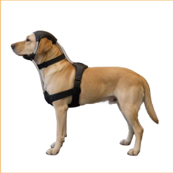 Dog Neck Brace for dogs and cats