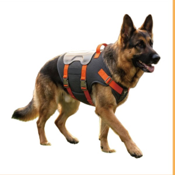 Dog Back Brace for dogs and cats