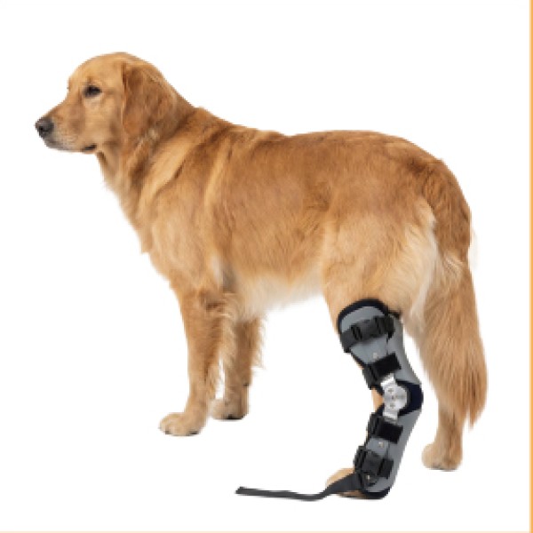 Dog Ankle Brace for dogs and cats