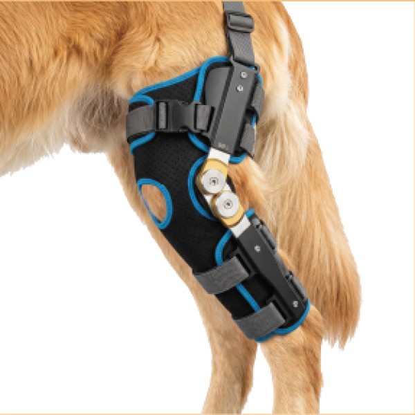Hinged Dog Knee Brace for dogs and cats