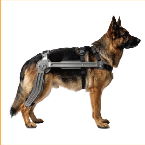 Dog Hip Support Brace for dogs and cats