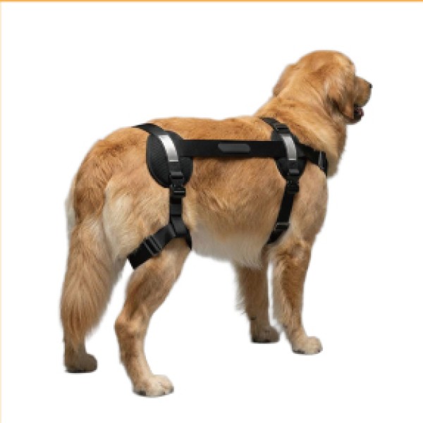Dog Hip Support Harness for dogs and cats