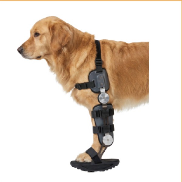 Dog Ankle Brace with Sole for dogs and cats