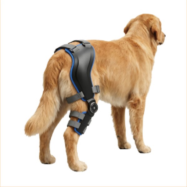 Post-Surgical Hinged Dog Knee Brace for dogs and cats