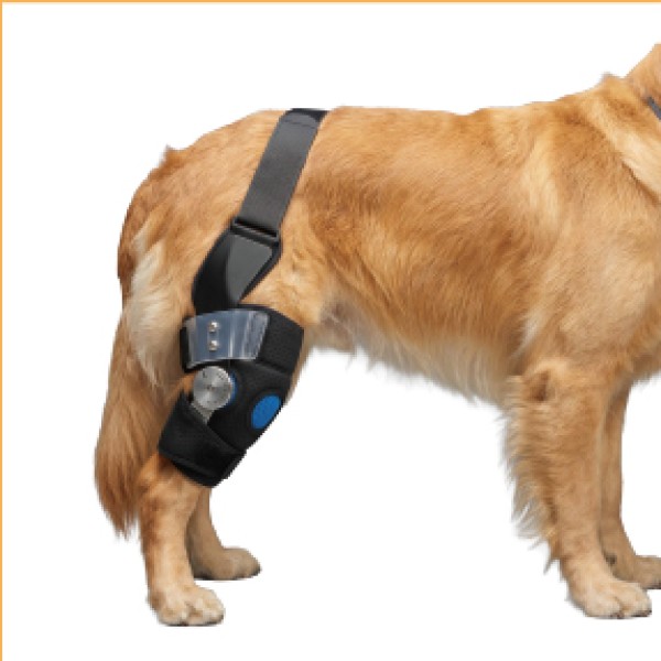 Breathable Hinged Dog Knee Brace for dogs and cats
