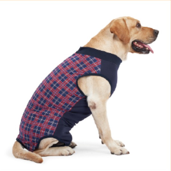 Color Block Dog Recovery Suit for dogs and cats