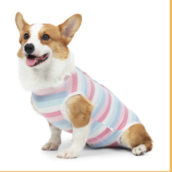 Small Dog Snap Button Recovery Suit for dogs and cats