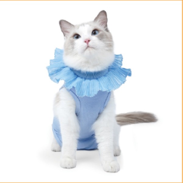Lace Collar Cat Recovery Suit for dogs and cats